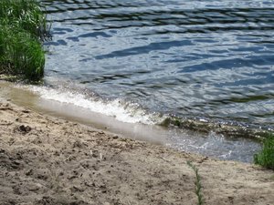 IMG_1101.jpg