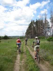 IMG_1199.jpg
