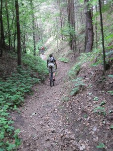IMG_1275.jpg