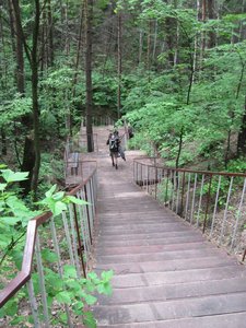 IMG_1284.jpg