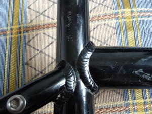 P1010190a.jpg