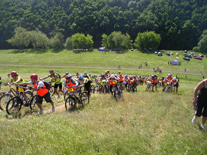 P1010058.jpg