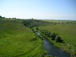 P1010067.jpg