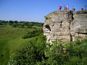 P1010079.jpg