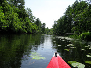 IMG_3926.jpg