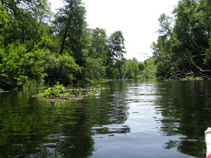 IMG_3934.jpg
