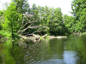 IMG_3947.jpg