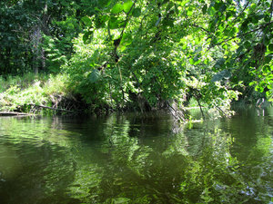 IMG_3954.jpg