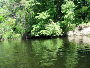 IMG_3955.jpg
