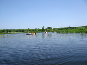 IMG_3965.jpg