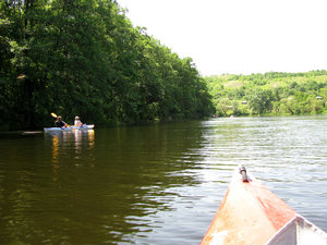 IMG_3972.jpg