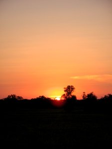 IMG_0683.jpg