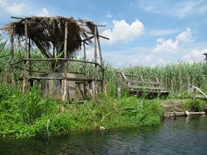 IMG_7493.JPG