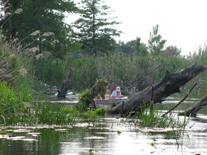 IMG_7534.JPG