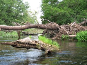 IMG_7541.JPG