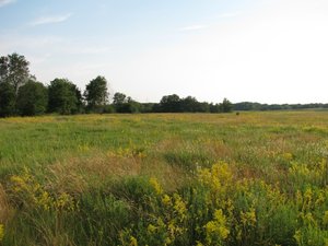 IMG_7556.JPG
