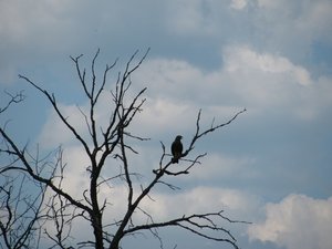IMG_7622.JPG