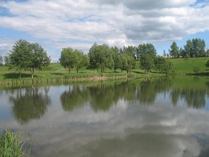 Посельское, пруд