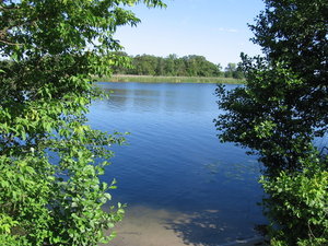 купель