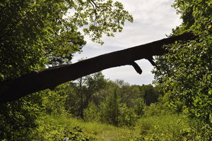 DSC_0315.JPG