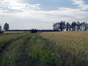 _C240047.jpg