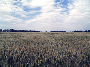 _C240041.jpg