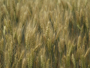 _C240057.jpg
