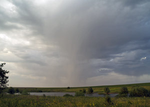 _C280093.jpg
