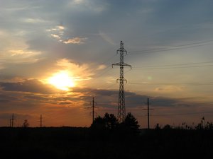 IMG_5207.JPG