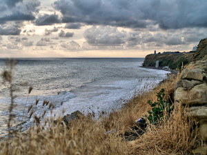 _A250433.jpg