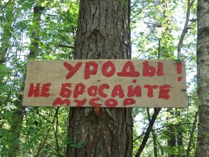 А где то было написано: &quot;Оставите мусор, прокляну&quot;. Мы не мусорили, нам бояться нечего.