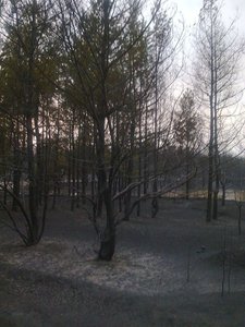 кал