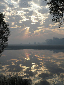 DSC00313.JPG