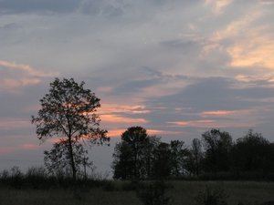 IMG_5312.JPG