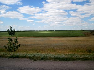 &quot;Люблю Новую Зеландию- природы здесь красивые!&quot;