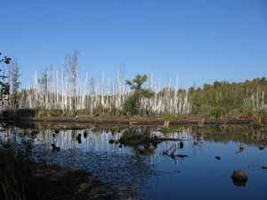 IMG_5579.JPG