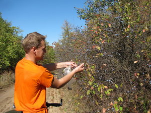 IMG_9550.JPG