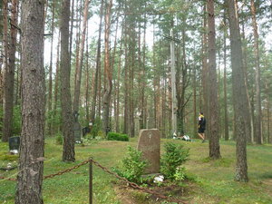 npg forestbros.jpg