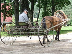 расческа для сена