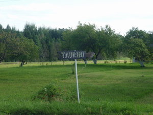 Таурин.jpg
