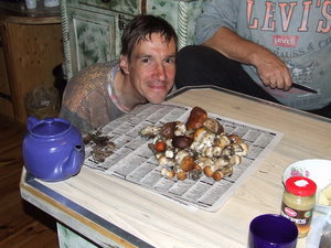 mushrooms1.jpg