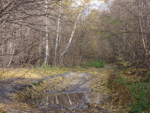 Виды природы