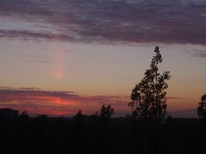 PA249621.JPG