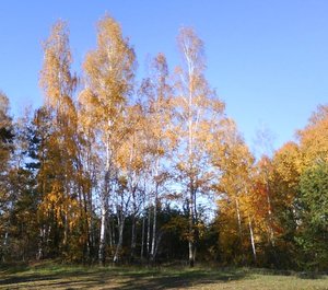 2410-4.jpg