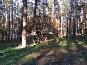 Встретил троих оленей к своему удивлению , но сфотографировать смог только кормушку :)