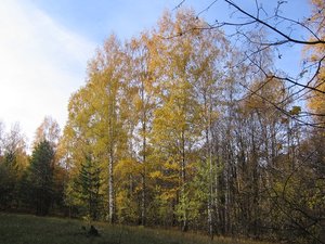 IMG_5622.JPG