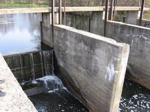 IMG_5631.JPG