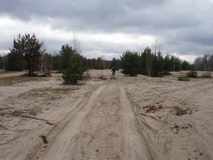 sands.jpg