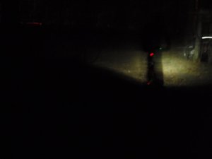 PB130776.JPG