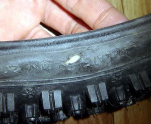 DSC06235_.jpg